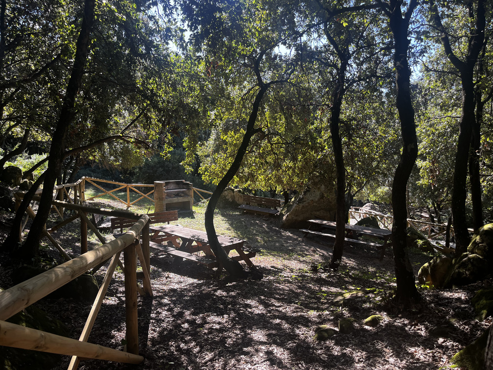 Area attrezzata nel bosco della Vallata La Verde.