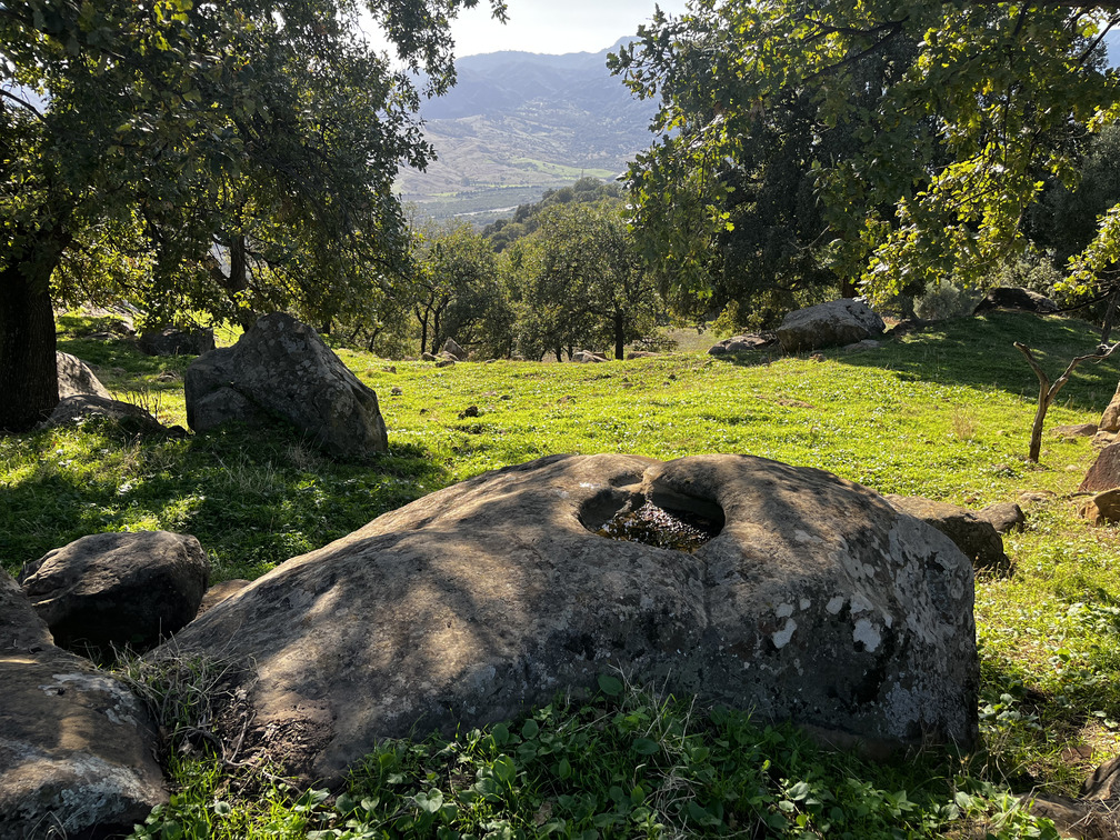 Palmento rupestre immerso nel verde della Vallata La Verde.