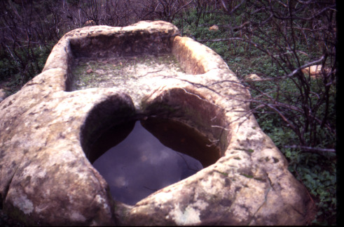 Palmento scavato nella roccia nel territorio di Ferruzzano.
